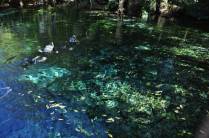 Início de flutuação no Aquário Natural, em Bonito, no Mato Grosso do Sul